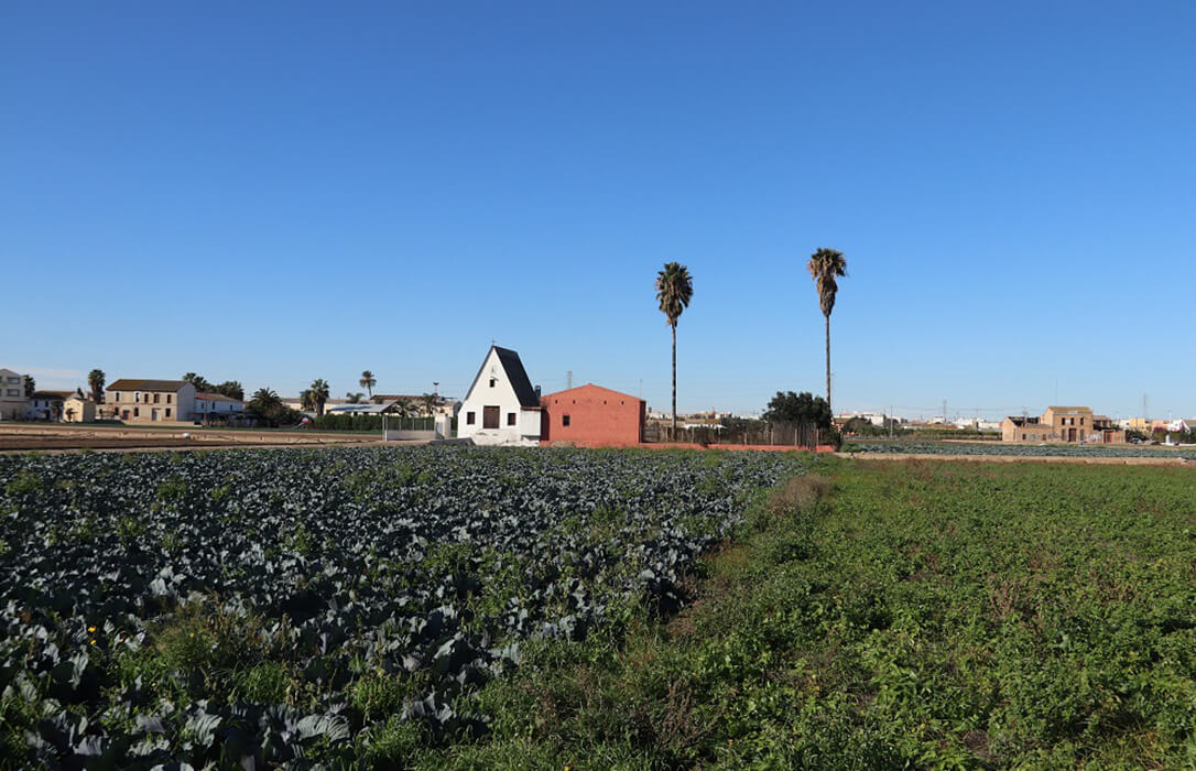 Un estudio analiza el cambio de València hacia un modelo agroalimentario más sostenible