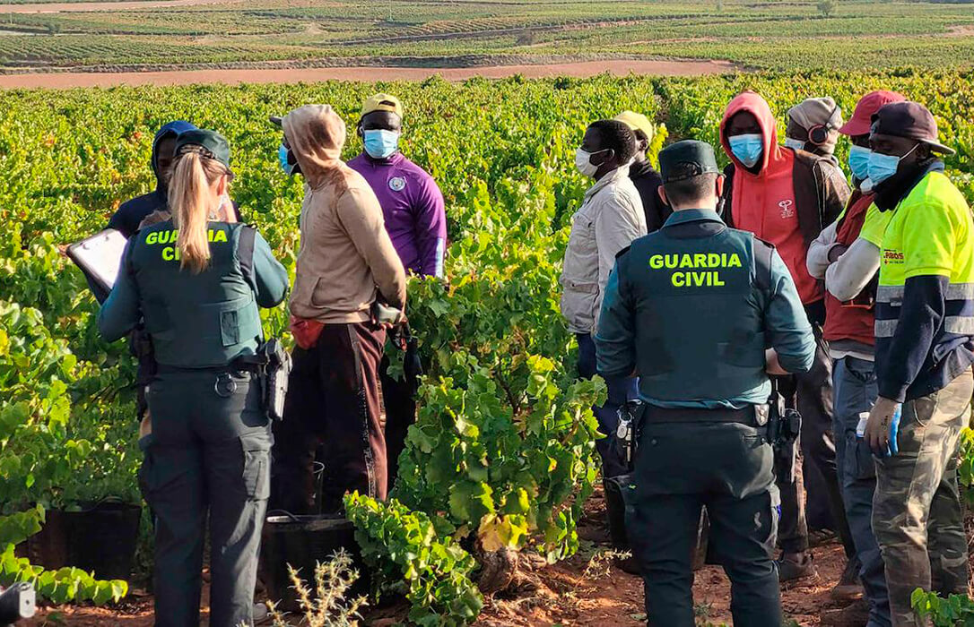 Continúa el «acoso de las inspecciones»: los viticultores de la DO Toro acusan al subdelegado de tratarlos como a delincuentes