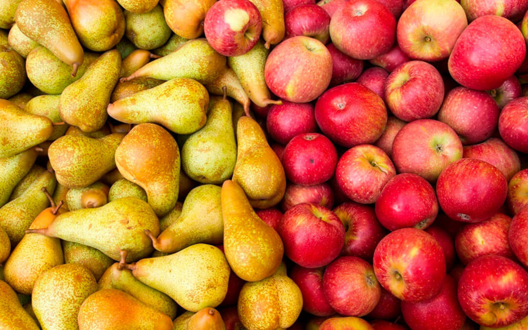El calor sin precedentes en toda Europa rebaja el tamaño de manzanas y peras y la distribución deberá ajustar sus exigencias