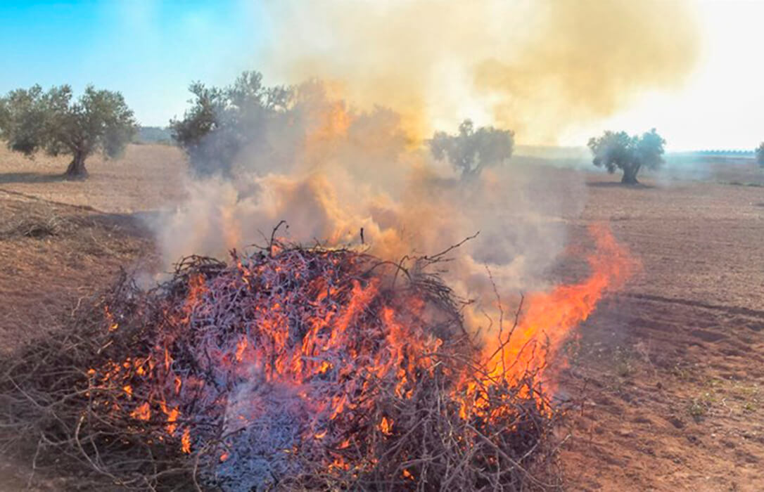 El enfado sigue creciendo: impulsa en el Congreso la derogación de la prohibición general de quemas agrícolas