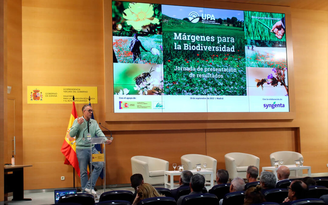 Márgenes para la Biodiversidad: Demuestran que los márgenes florales gestionados benefician a los polinizadores y a los cultivos