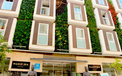 Málaga estrena jardín vertical hidropónico de 100 m2 y más de 3.000 plantas