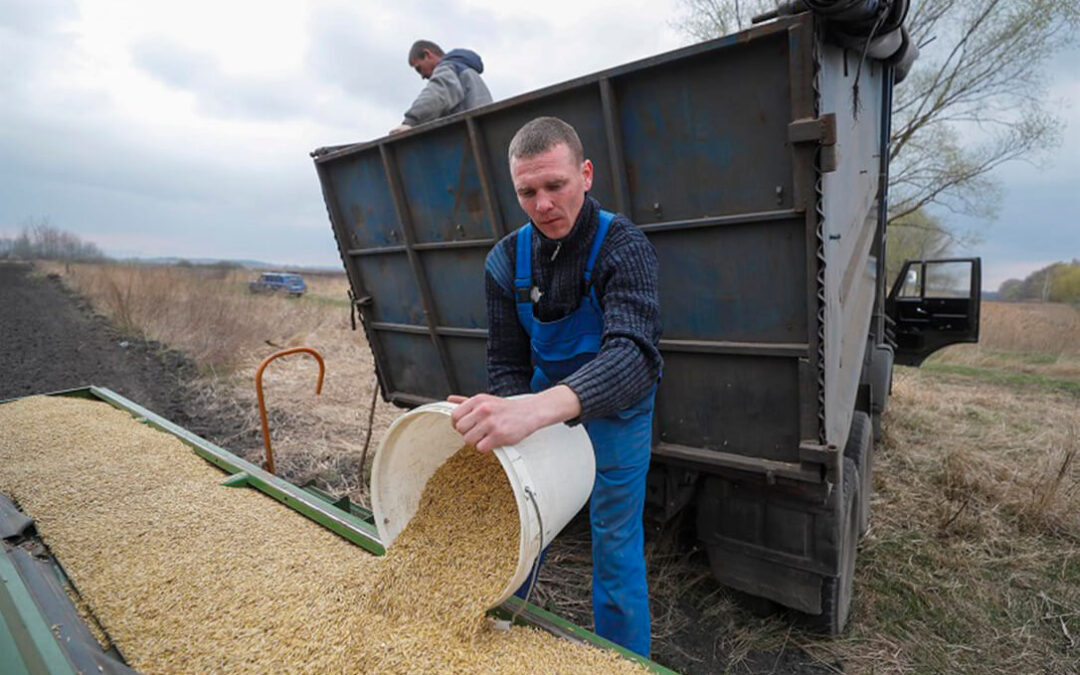 Alerta en el sector cerealista ante la posibilidad real de que no se renueve el acuerdo para la exportación de cereal ucraniano