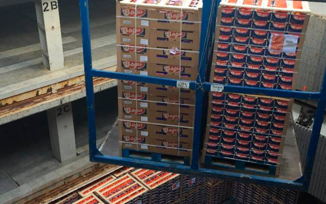 La CE niega que se haya comercializado en la UE naranjas sudafricanas sin tratamiento en frío contra las plagas