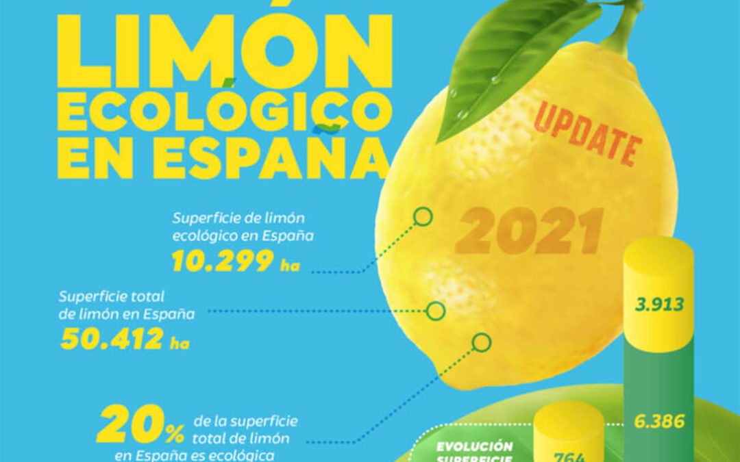 El pomelo y el limón ecológico están de moda: la superficie en 9 años ha aumentado en un 503% en el caso del limón y un 327% en pomelo