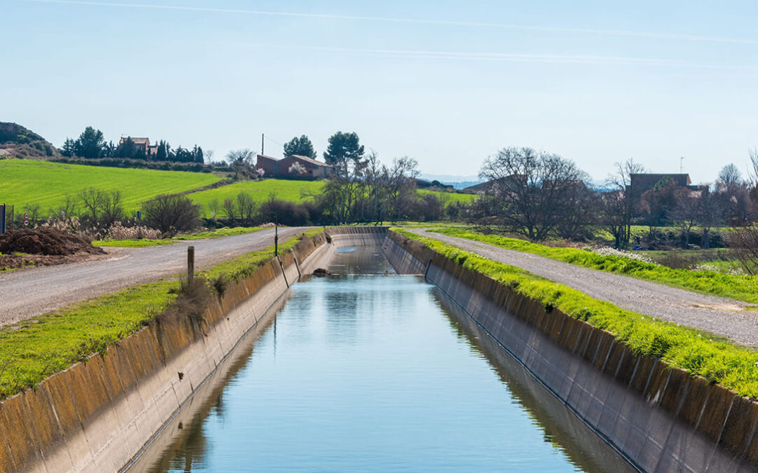 Los cultivos de regadío de Lleida han necesitado un 14% más de agua este año por la sequía
