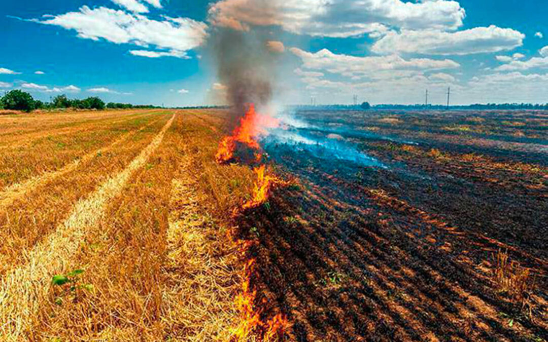 Enfado porque Extremadura impone la interpretación más drástica de la ley con respecto a la quema de restos vegetales