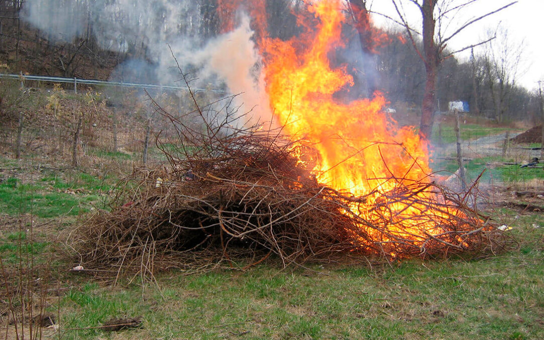 El campo comienza a mostrar su indignación por el mantenimiento de la prohibición de las quemas de restos agrícolas