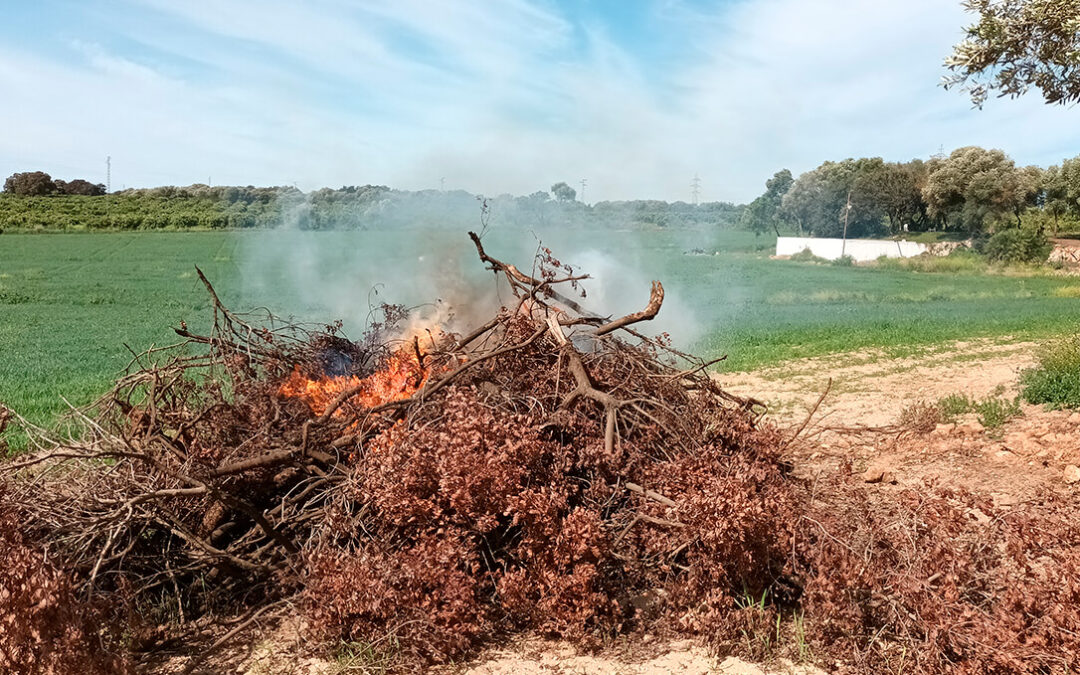 La Junta andaluza permitará las quemas de restos vegetales en zonas forestales y de influencia forestal
