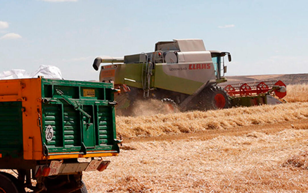 La prórroga del acuerdo para exportar grano ucraniano provoca la preocupación del sector nacional ante la caída de las cotizaciones