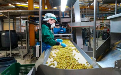 ‘Check List’, el cuestionario que pone al día a las cooperativas agroalimentarias con sus obligaciones normativas