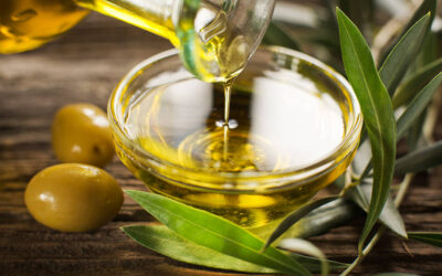 España lanza el primer Congreso Mundial del Aceite de Oliva como punto de encuentro de los todos los profesionales a nivel mundial