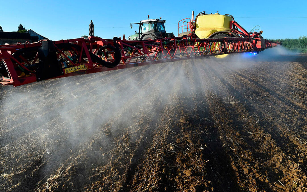 Bruselas propone medidas para reducir la dependencia de fertilizantes importados… pero a largo plazo