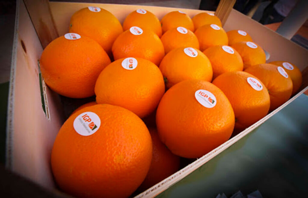 La cooperativa Consum venderá solo naranjas y mandarinas con sello de la IGP Cítricos Valencianos