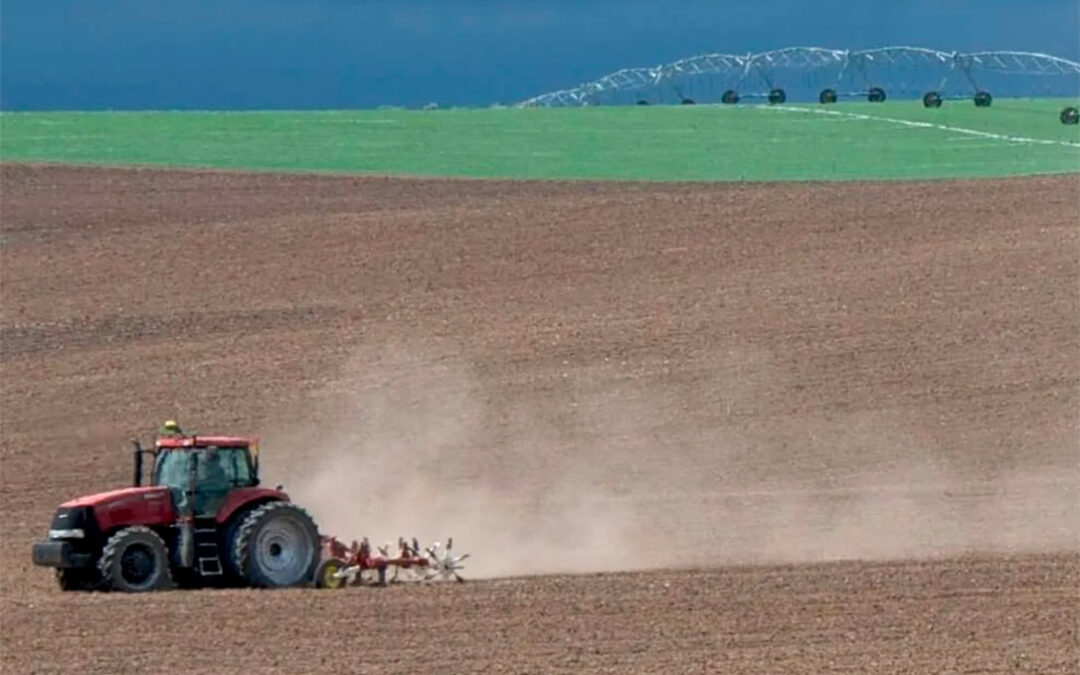 La Renta Agraria Nacional se acerca a los 30.000 millones y sube un 4,6% en 2021 según el Ministerio