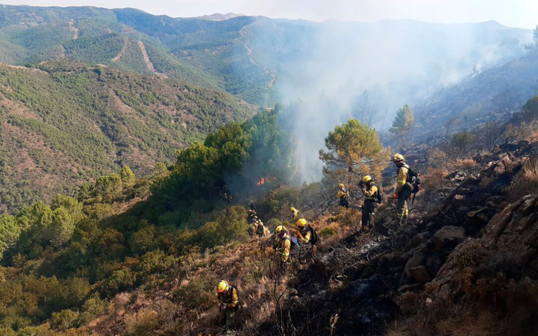 Aprobados dos anteproyectos de ley para regular la situación laboral de los bomberos forestales y de los agentes medioambientales en todo el territorio nacional