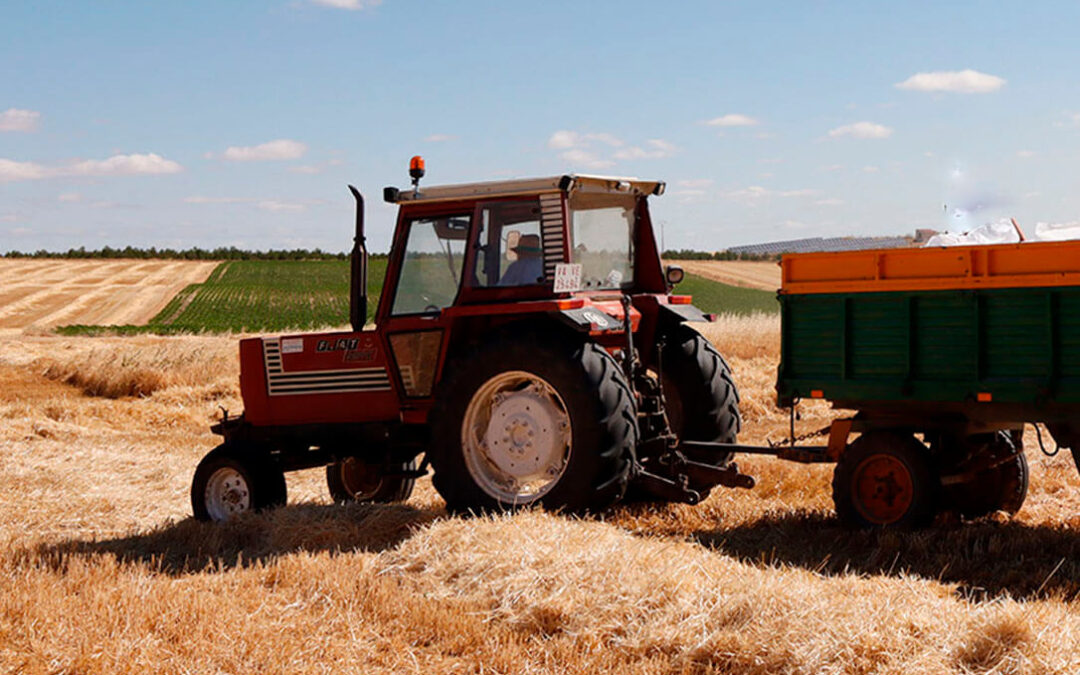Se confirma la tendencia a la baja de los precios de los cereales en la última semana tras el acuerdo para exportar grano ucraniano