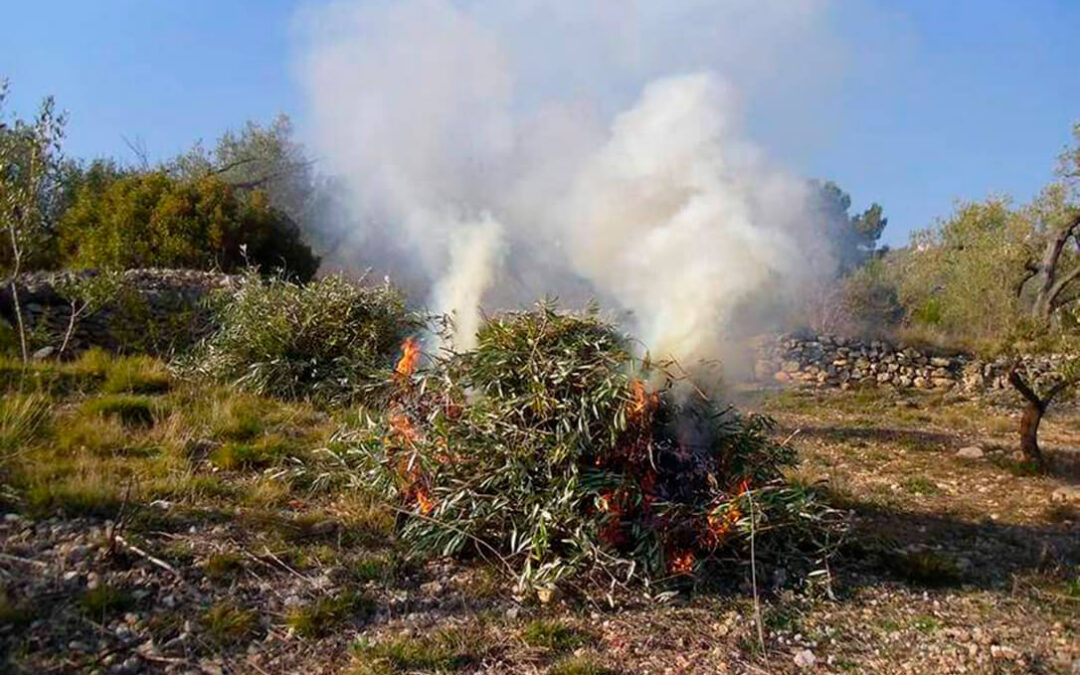 Tomadura de pelo del Gobierno: Mantiene la prohibición de las quemas agrícolas con la exención para las pequeñas y las microexplotaciones agrarias