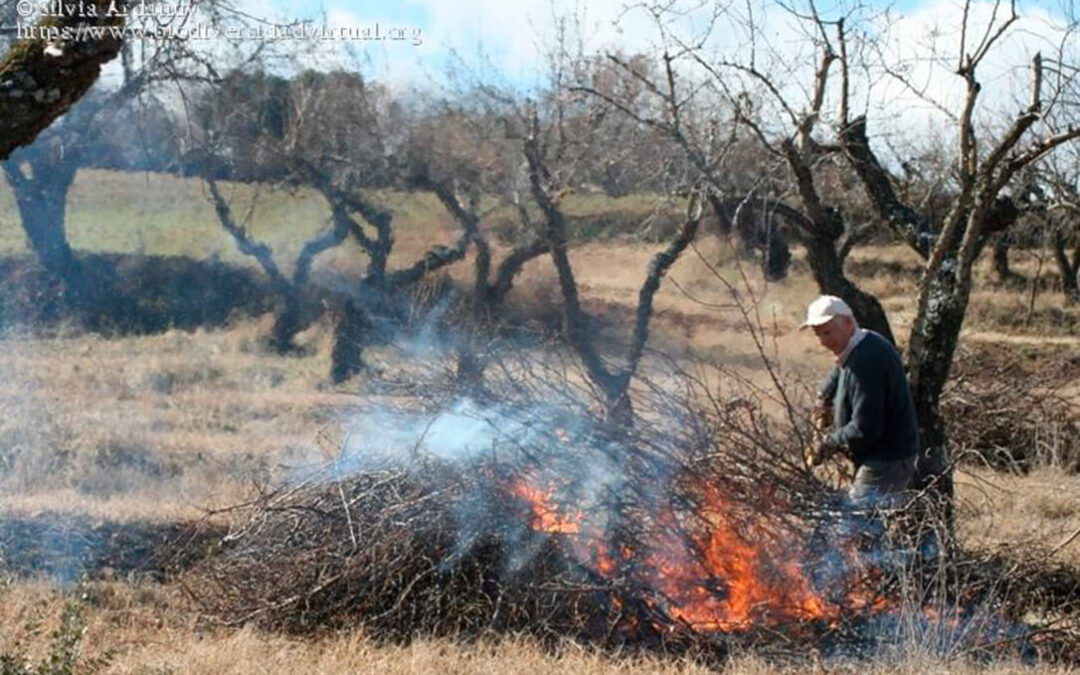 Solicitan que se autoricen las quemas controladas de restos de poda en Castilla y León al igual que se hace en otras CCAA