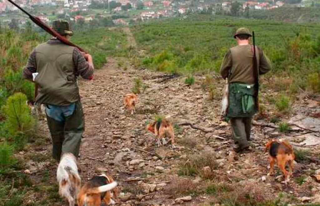 Derechos Sociales propone excluir puntualmente a los perros de caza de la Ley Animal si participan en actividades cinegéticas