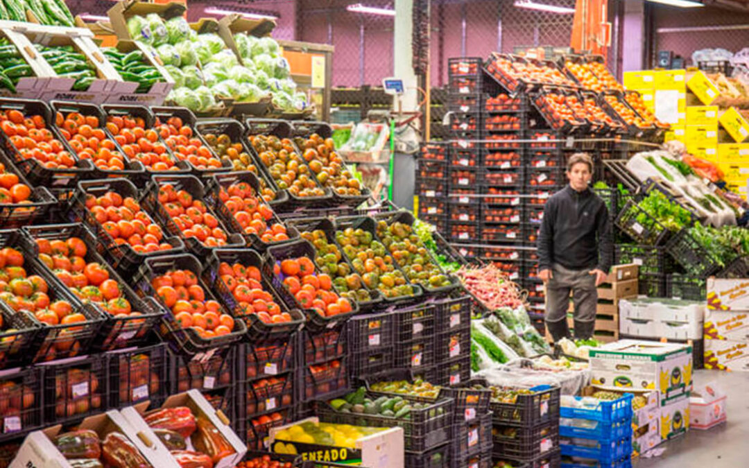 Bruselas cambia la norma sobre los importes máximos para las retiradas hortofrutícolas, lo que favorecerá a la fruta de verano