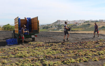 El cooperativismo andaluz afronta los retos de la Agenda 2030