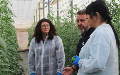 Las cooperativas agroalimentarias traducen a términos económicos lo que aportan a la sociedad