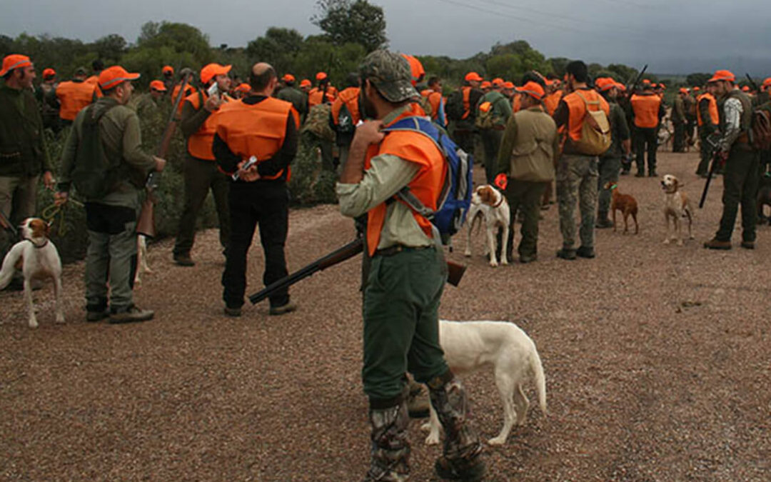 La ley animal supera otro trámite en el Congreso pero excluyendo a los perros de caza