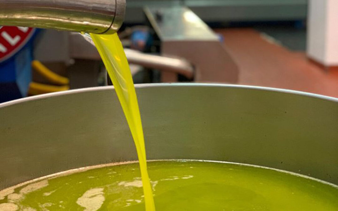El Gobierno reclama responsabilidad para mantener unos precios moderados de aceite de oliva