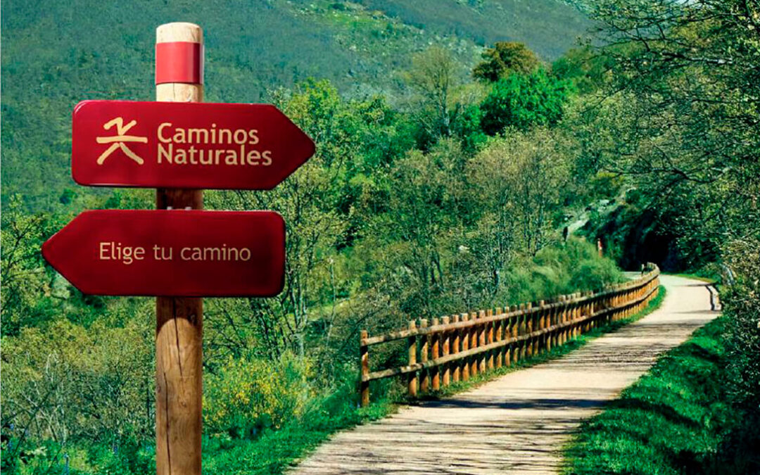 La red de Caminos Naturales permite adentrarse en el medio rural para descubrir naturaleza y disfrutar de los Alimentos de España