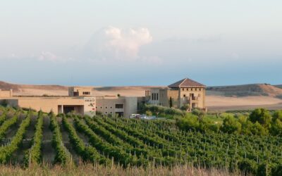 Finaliza con éxito el proyecto de I+D Oivina, de Pagos de Araiz destinado a reducir enfermedades biológicas en el viñedo
