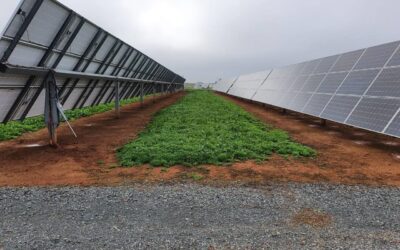 El Valle Inferior del Guadalquivir, primera comunidad de regantes nacional con el sello eco20 en el uso de energía renovable