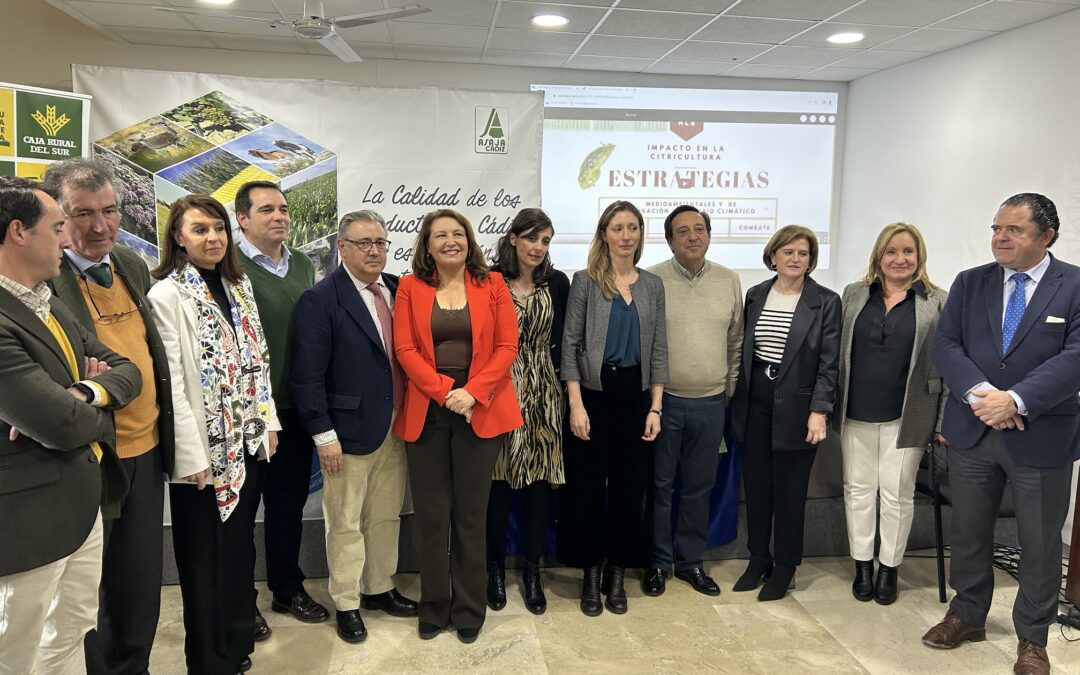 Andalucía lidera el relevo generacional en el campo tras superar la media nacional