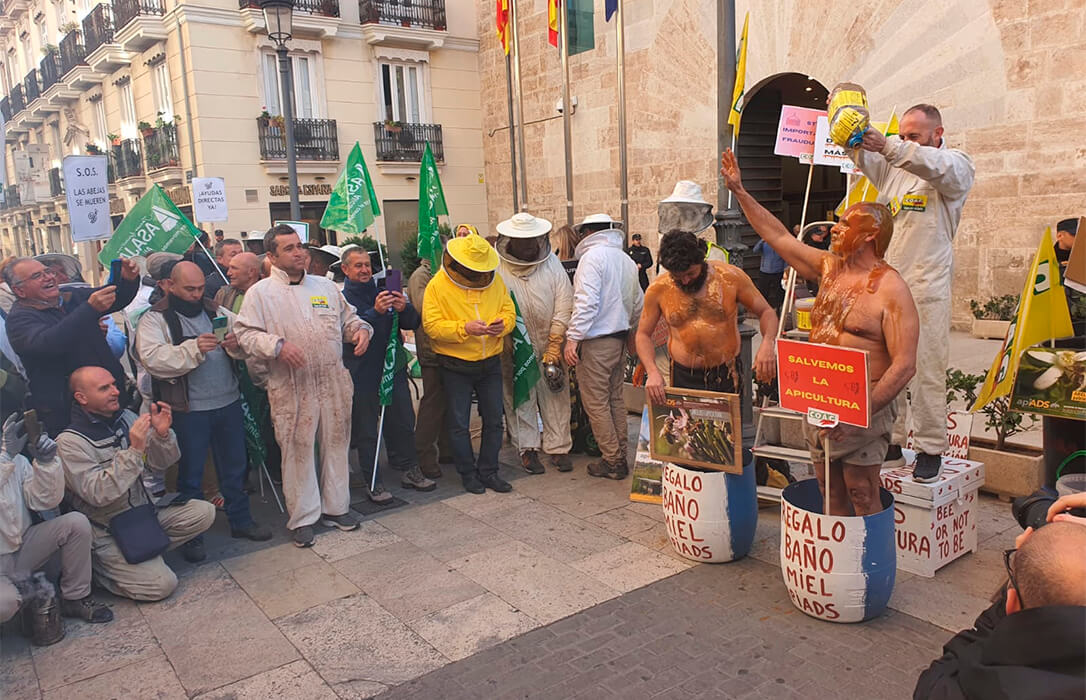 Los apicultores se han bañado en miel ante las Corts Valencianes para protestar por la situación de crisis del sector