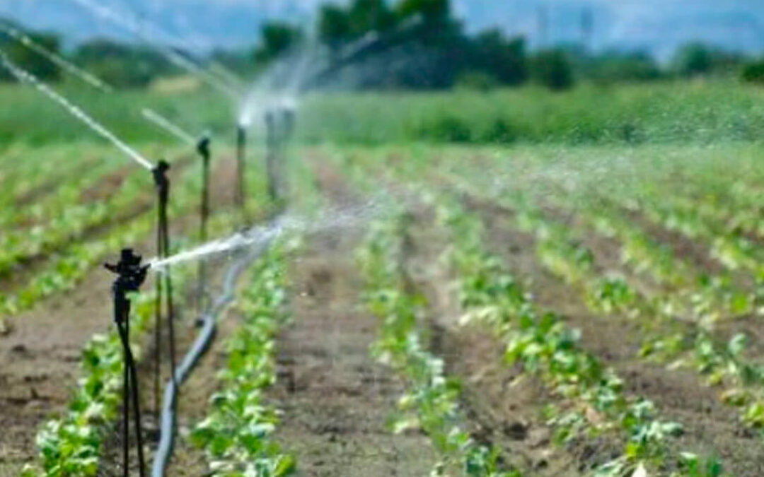 Extremadura exige la convocatoria de la Mesa de la Sequía para organizar esta campaña al disponer solo del 70% de dotación de agua para riego
