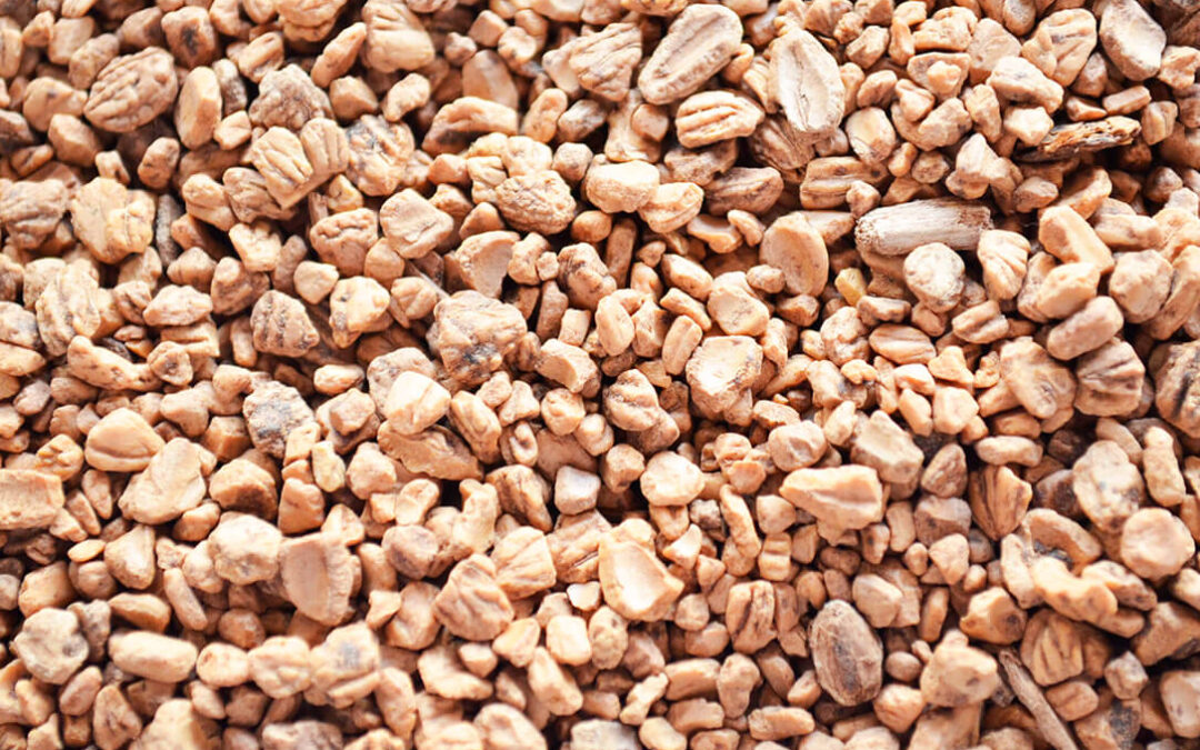 Cooperativas España pide la aplicación del IVA reducido al hueso de aceituna como se ha aplicado al resto de las biomasas