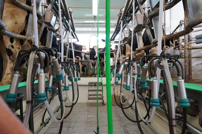Instan a los ganaderos a no ceder a una bajada de los contratos de la leche y a reclamar una subida