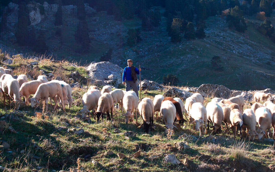 Mensaje claro a Europa: «Europa debe proteger su ganadería para asegurar la alimentación del futuro»
