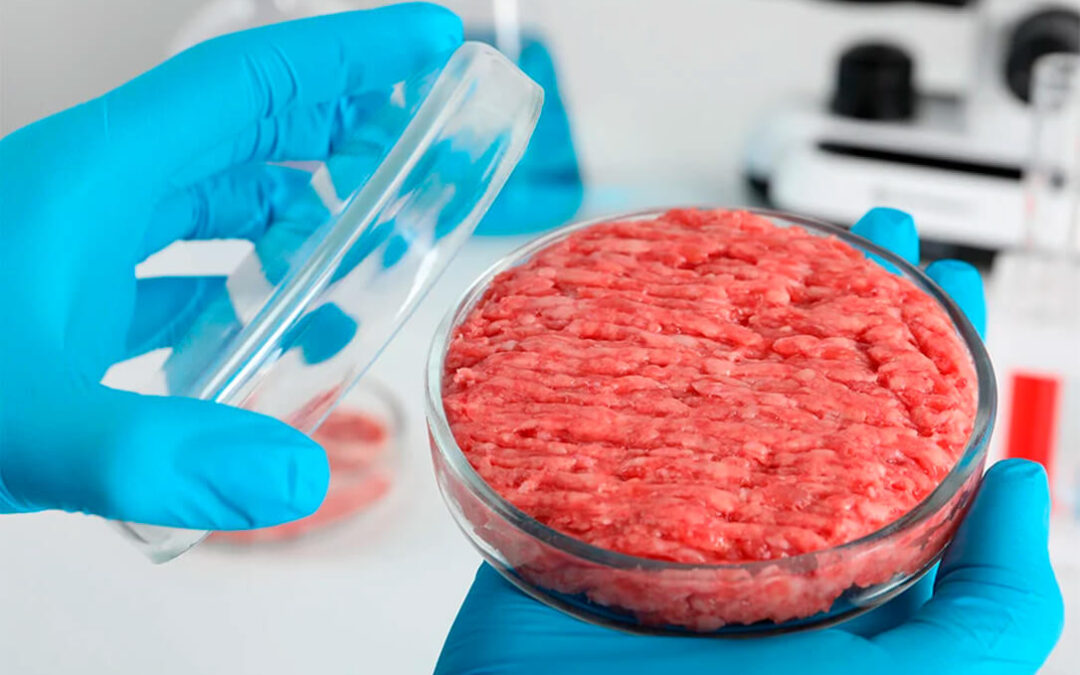 Italia aprueba un proyecto legislativo para prohibir los alimentos sintéticos, incluida la carne cultivada