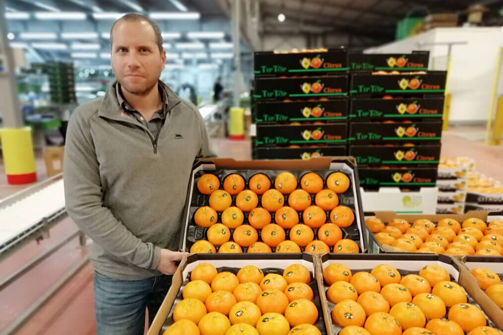 La ‘Falsa polilla’ detectada a Israel debería obligar a la UE a ampliar la aplicación del tratamiento en frío también a las mandarinas