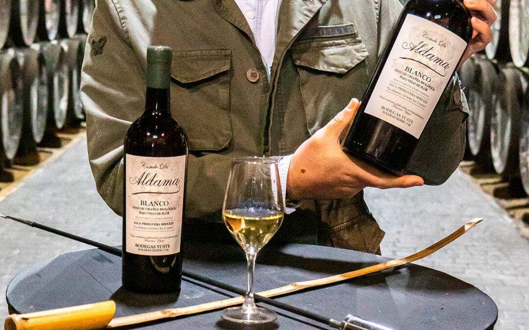 Bodegas Yuste lanza al mercado un nuevo vino blanco seco monovarietal, elaborado a partir de uva Pedro Ximénez