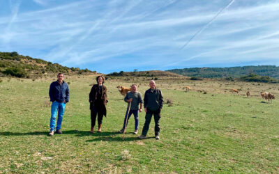 Un cercado virtual acota una zona de pasto que ayuda a desarrollar la ganadería extensiva y la prevención de incendios