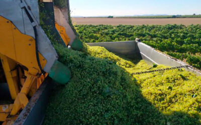 El Ministerio impulsa en Dijon el Congreso Mundial de la Viña y el Vino que se celebrará en Cádiz y Jerez