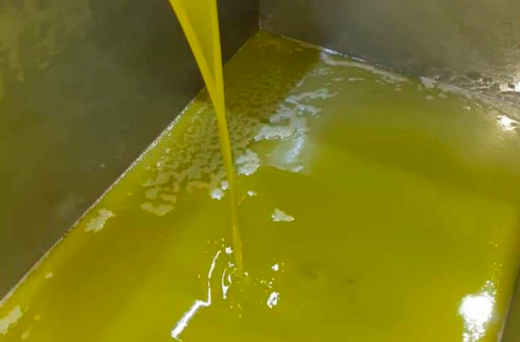 Planas apela a la contención de precios del aceite de oliva para mantener el consumo y permitir a las familias acceder a él