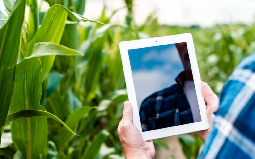 El Ministerio regula el contenido mínimo que se debe registrar en el cuaderno digital de explotaciones agrícolas