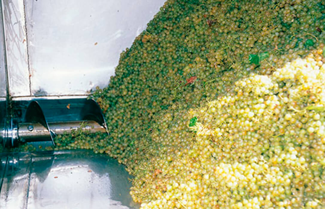 Piden al Ministerio ayudas para activar de forma urgente la destilación de crisis en el sector vitivinícola en toda España