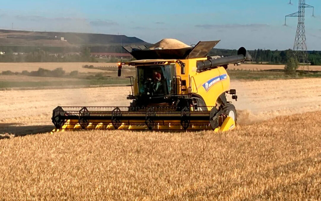 Un productor consigue dos récords Guinness con una cosecha de trigo de invierno con casi 18 t/ha y en cultivo de cebada, con más de 16 t/ha