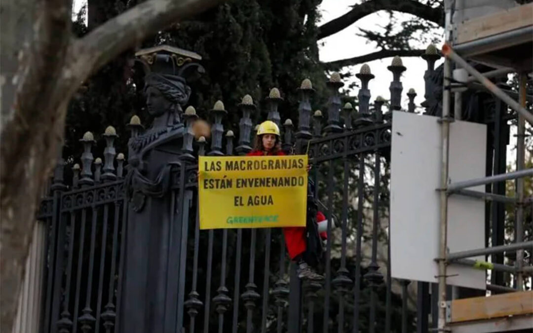 Greenpeace bloquea los accesos al Ministerio de  Agricultura para pedir el fin de las macrogranjas y frenar la contaminación del agua