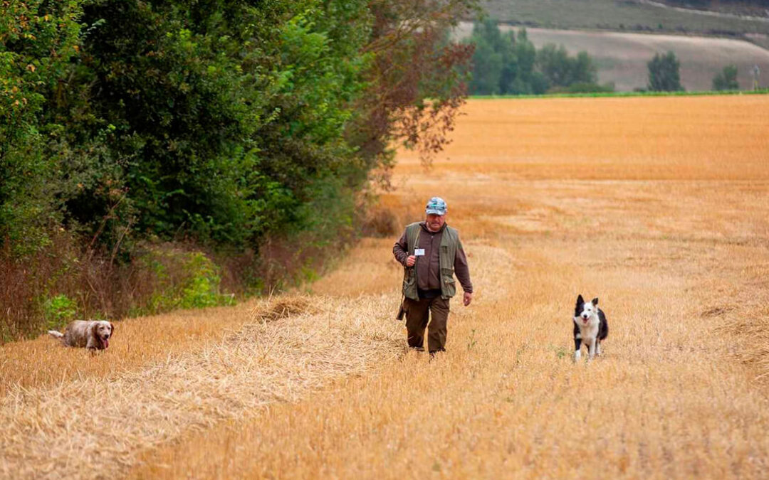 Aprobada la ley animal como norma «pionera» para la defensa de las mascotas pero que excluye a los perros de caza