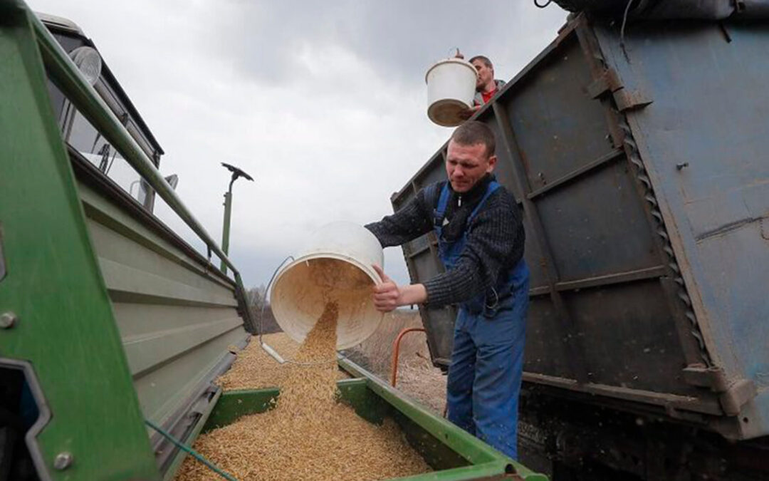 Se mantiene la presión sobre los cereales: Rusia accede a prorrogar el acuerdo para la exportación desde Ucrania pero solo por 60 días
